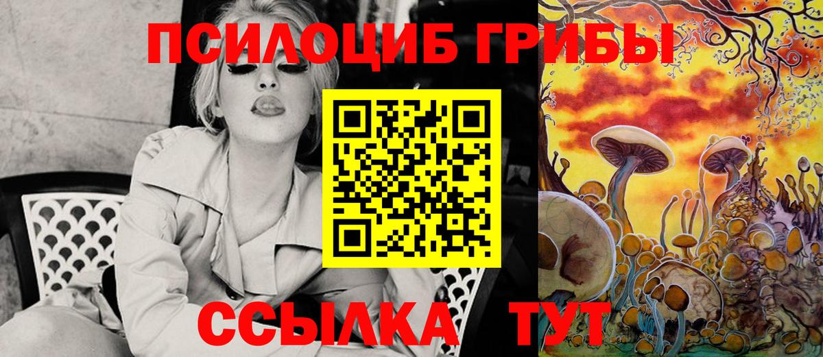 Псилоцибиновые грибы мицелий Ярцево